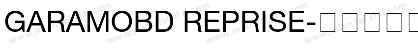 GARAMOBD REPRISE字体转换
